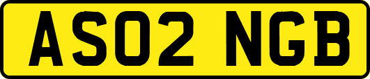 AS02NGB