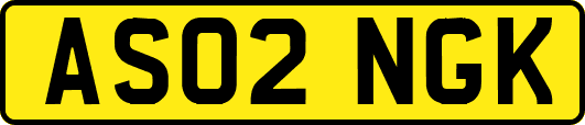 AS02NGK