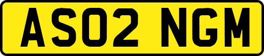 AS02NGM
