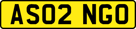 AS02NGO