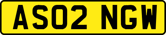 AS02NGW