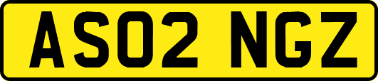AS02NGZ