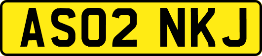 AS02NKJ