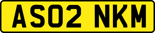 AS02NKM
