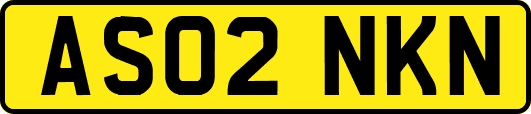 AS02NKN