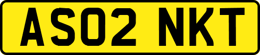 AS02NKT