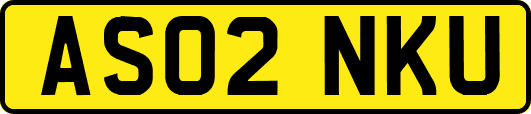 AS02NKU