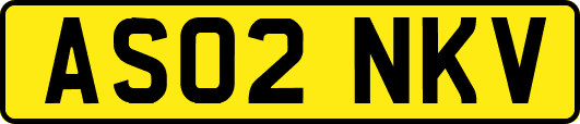 AS02NKV