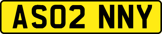 AS02NNY