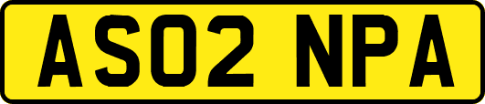 AS02NPA