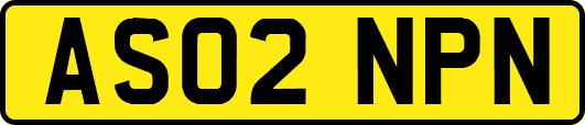 AS02NPN
