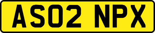 AS02NPX