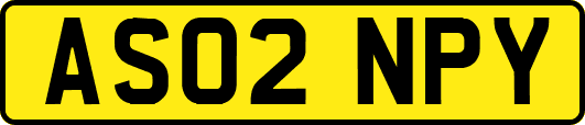 AS02NPY