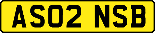AS02NSB