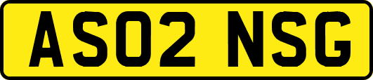 AS02NSG