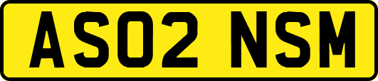 AS02NSM