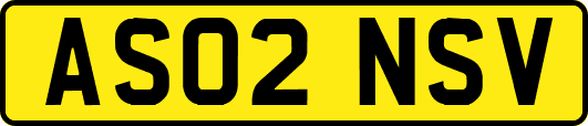 AS02NSV