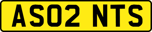 AS02NTS