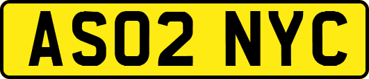 AS02NYC