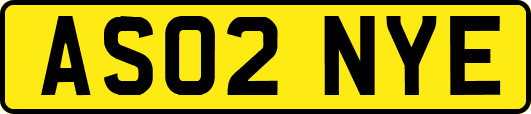AS02NYE