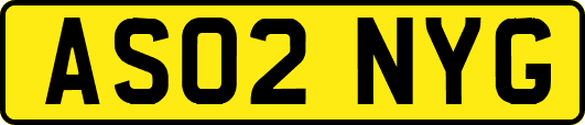 AS02NYG