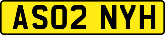 AS02NYH