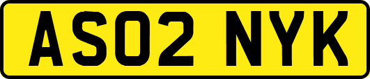 AS02NYK
