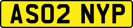 AS02NYP