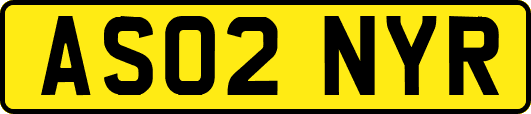 AS02NYR