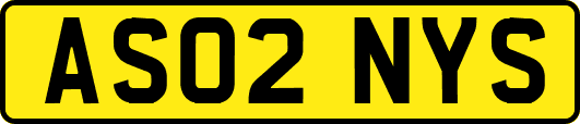 AS02NYS