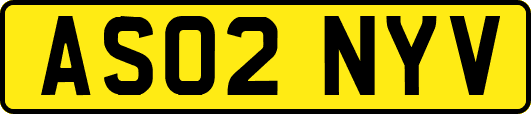 AS02NYV