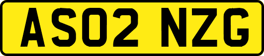 AS02NZG