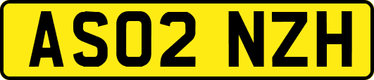 AS02NZH
