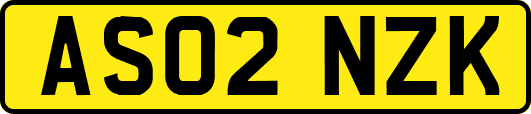 AS02NZK