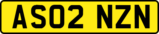 AS02NZN
