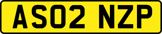 AS02NZP