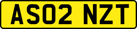 AS02NZT