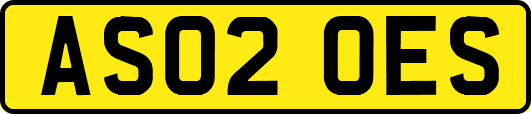 AS02OES
