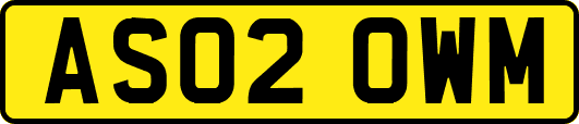 AS02OWM