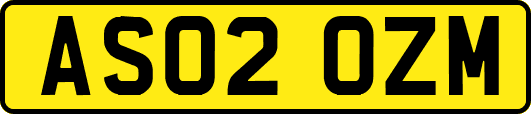 AS02OZM