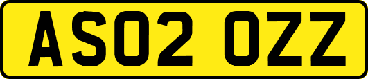 AS02OZZ