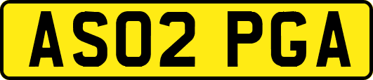 AS02PGA