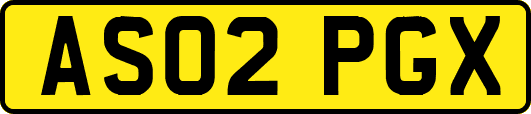 AS02PGX