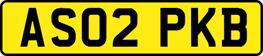 AS02PKB