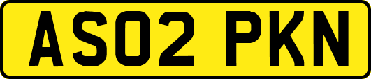 AS02PKN