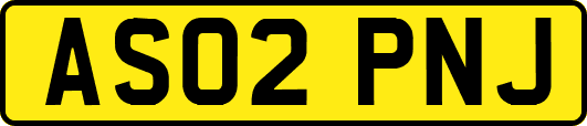 AS02PNJ