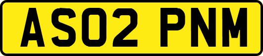 AS02PNM