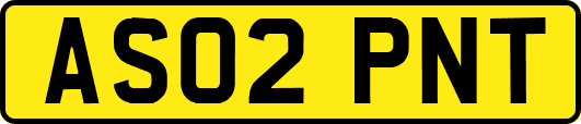 AS02PNT