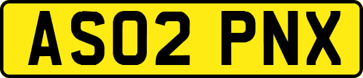 AS02PNX