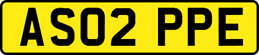 AS02PPE